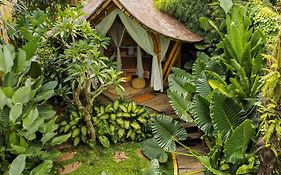 Wahem Eco Bamboo
