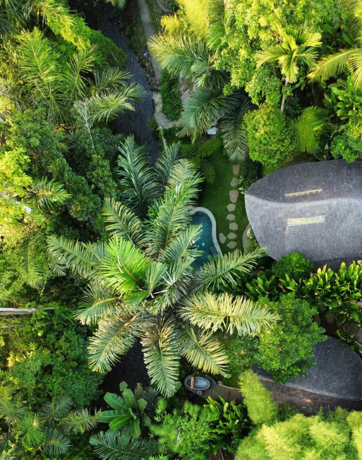 Wahem Eco Bamboo - Magical Bamboo House Ubud Bali Villa Exterior photo